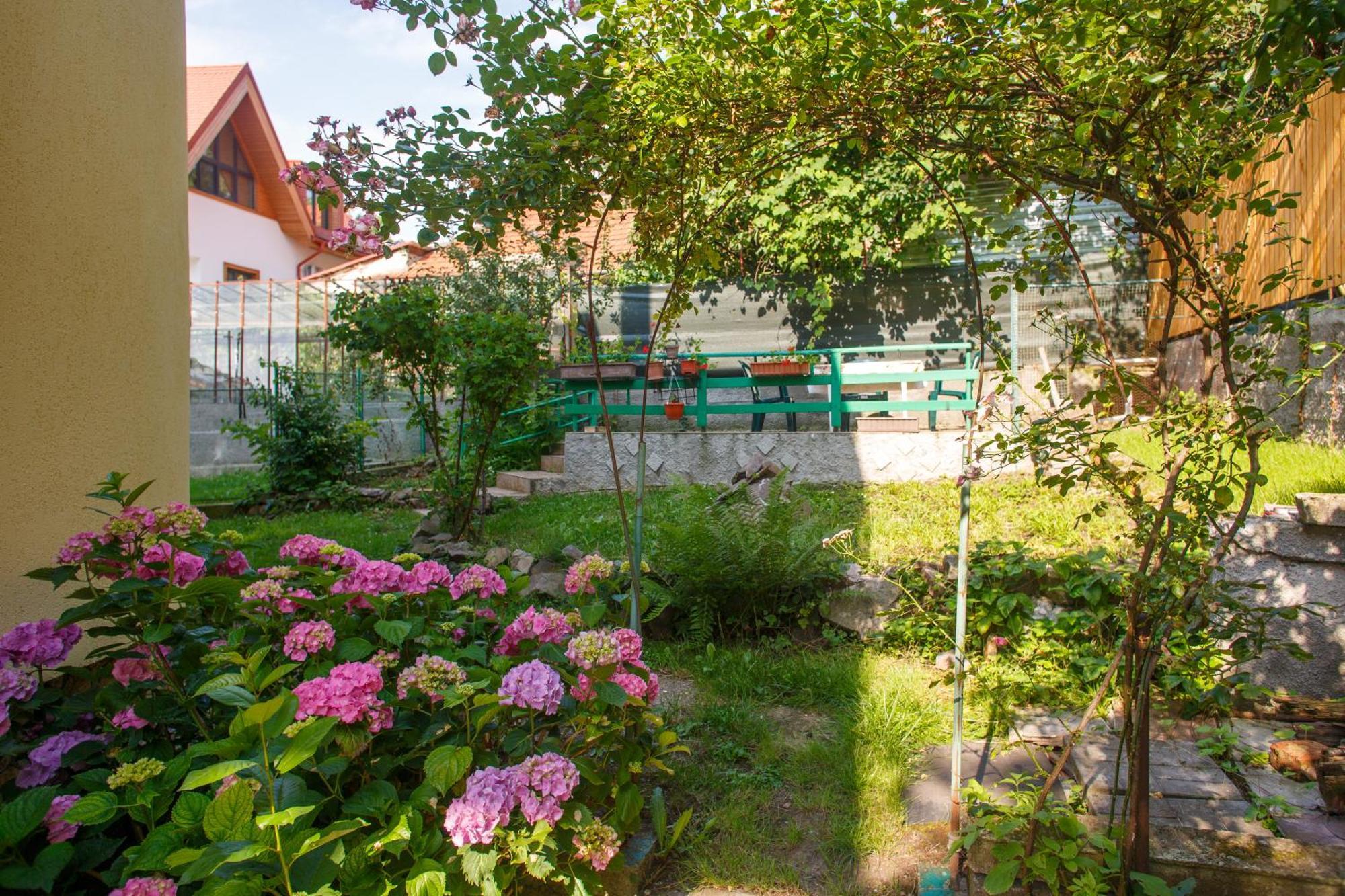 Barok Apartments Brasov Exterior photo
